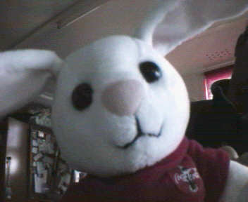 <:::::: Security Cam::::::>